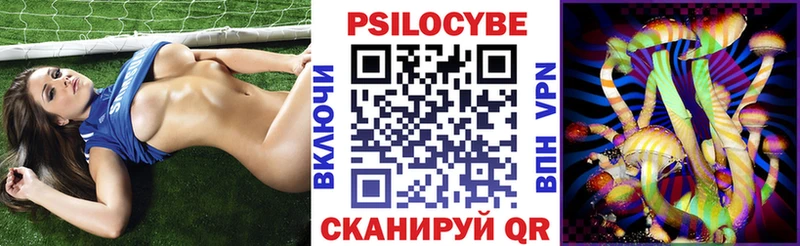 где купить наркотик  Кольчугино  Галлюциногенные грибы GOLDEN TEACHER 